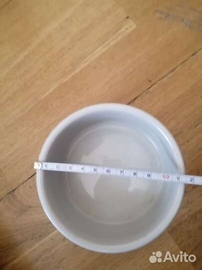 Лоток кошачий и керамическая миска