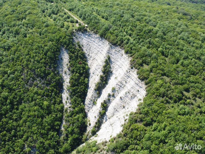 Прокат квадрациклов