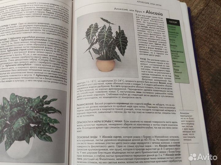 Книга про комнатные растения