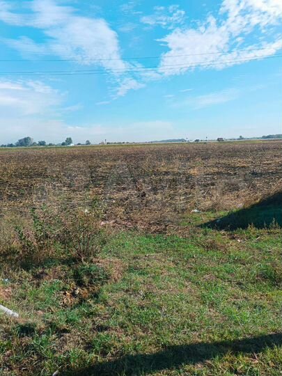 Участок 1,25 га (промназначения)