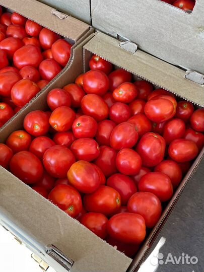 Помидоры сливка