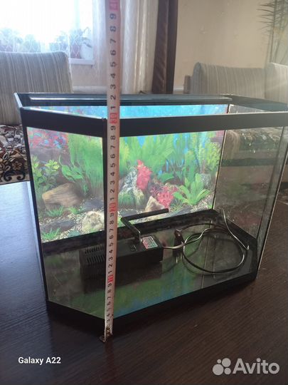 Аквариум