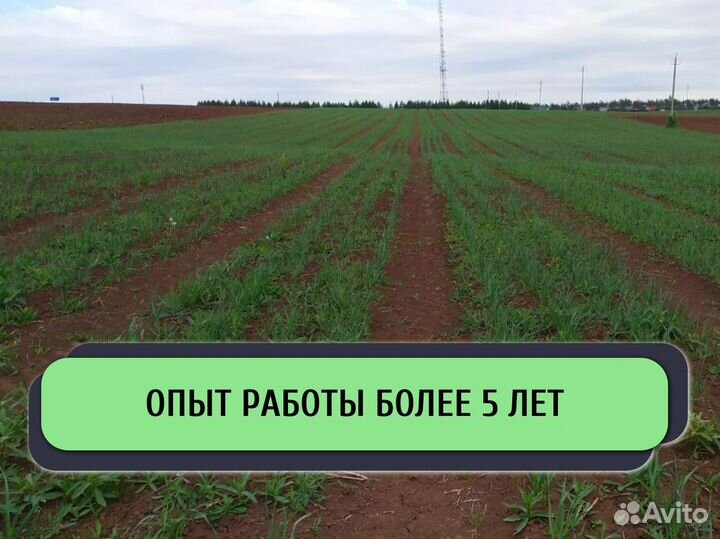 Инвестиции в сельское хозяйство