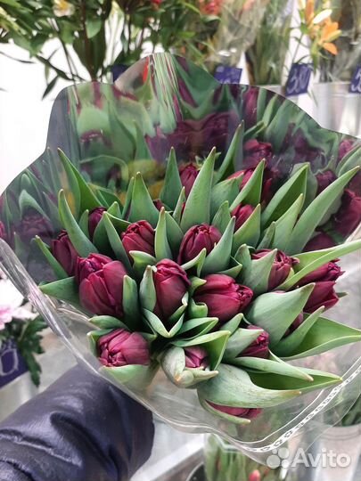 Тюльпаны на выпускной