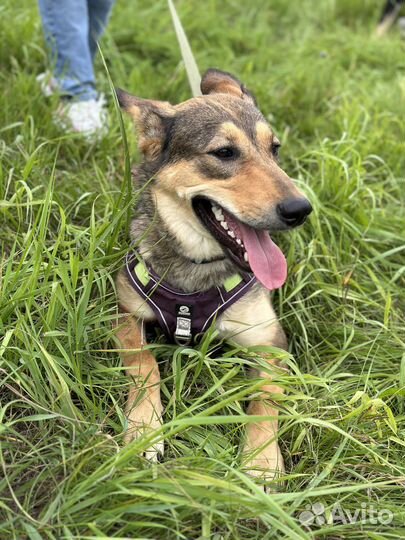 Луна. Беззащитный ребенок из приюта