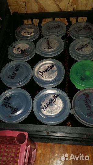 Варенье в ассортименте