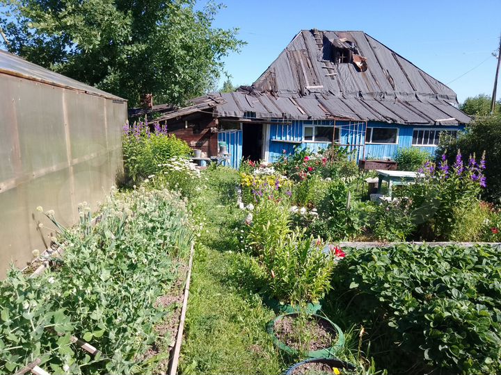 Дача 26,2 м² на участке 11 сот.