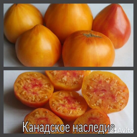 Семена томатов и перца на 2023 год