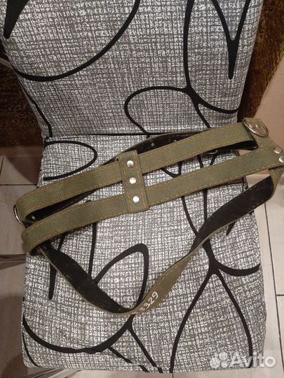 Шлейка и намордники для собак