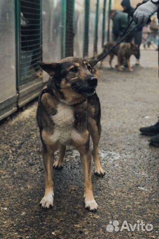 Таких не выбирают