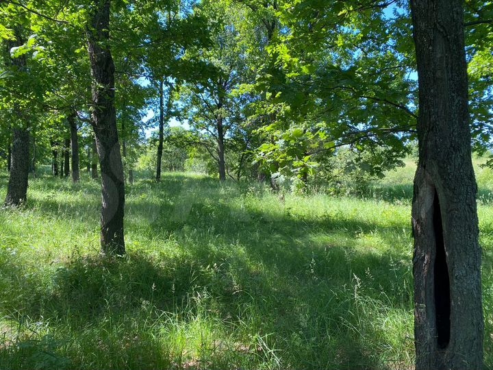 Участок 18 сот. (СНТ, ДНП)