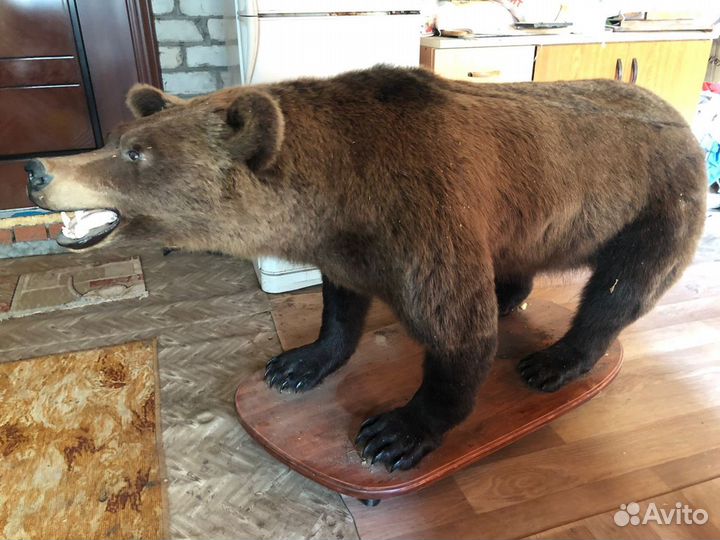 Чучело медведя(имитация)