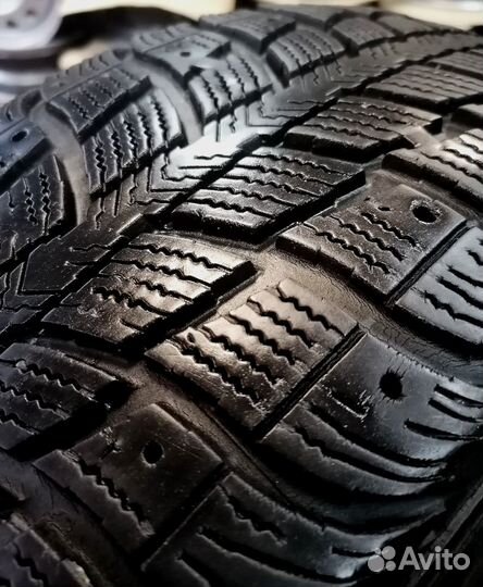 Federal Himalaya WS2 205/60 R16