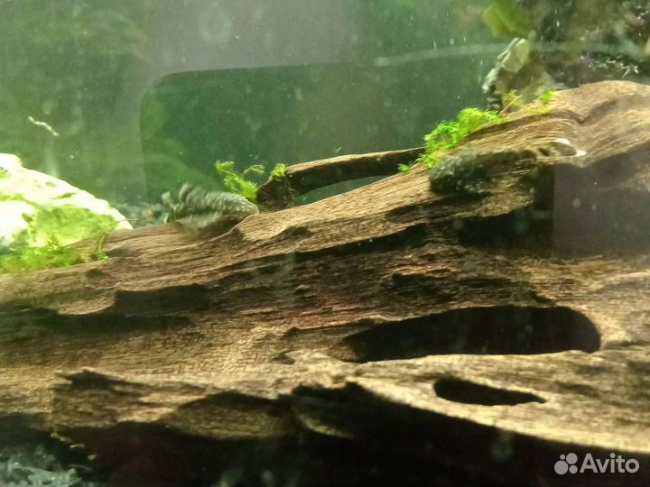 Украшение для аквариума