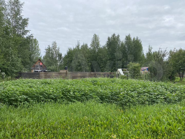 Участок 5 сот. (ИЖС)