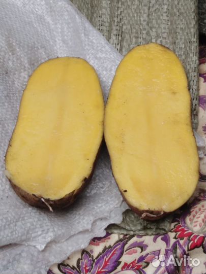Продам картофель
