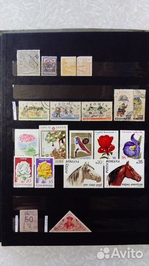 Румыния, Венгрия, Германия, Испания, Ирландия