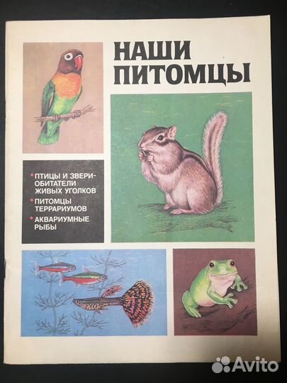 Наши питомцы, 1986 птицы аквариум террариум