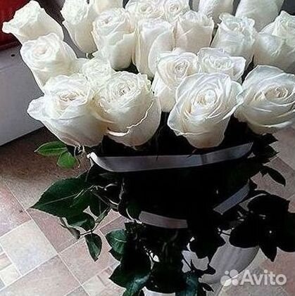 Высокие Розы Гиганты Доставка Круглосуточно
