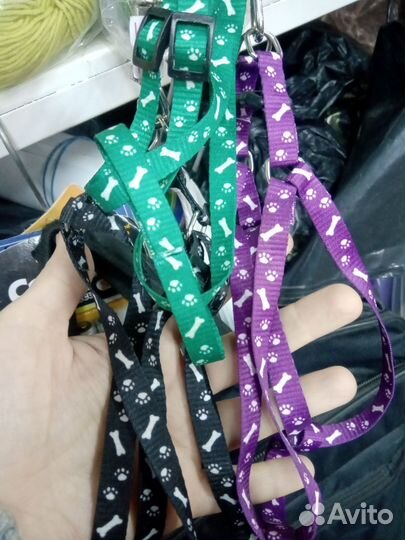 Поводок+шлейка