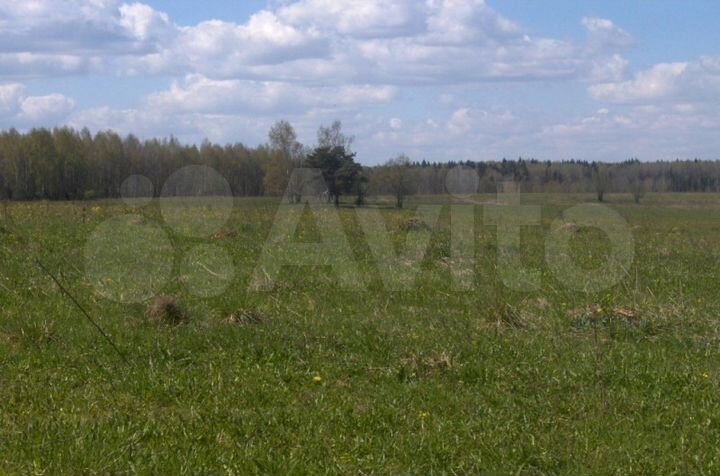 Участок 66,96 га (СНТ, ДНП)