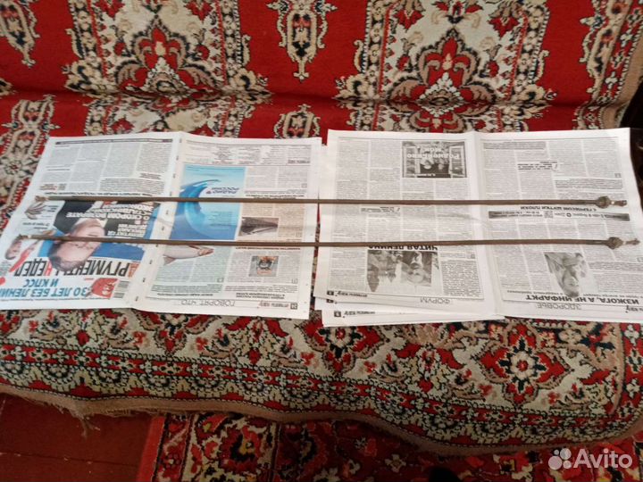 Тэн немецкий