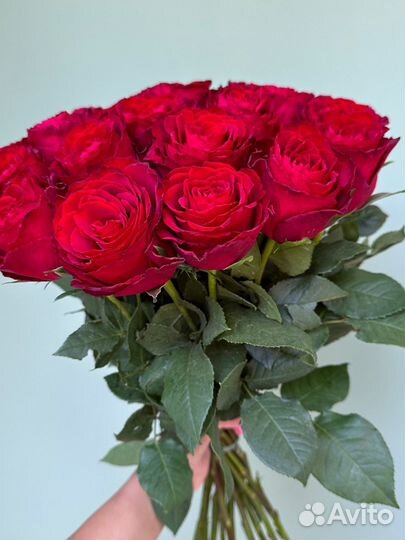 Ароматные розы 50см,Доставка Калининград