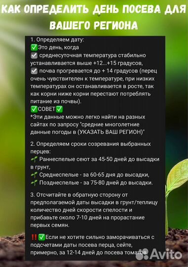 Перец сладкий Сибирский Экспресс. Семена Алтая