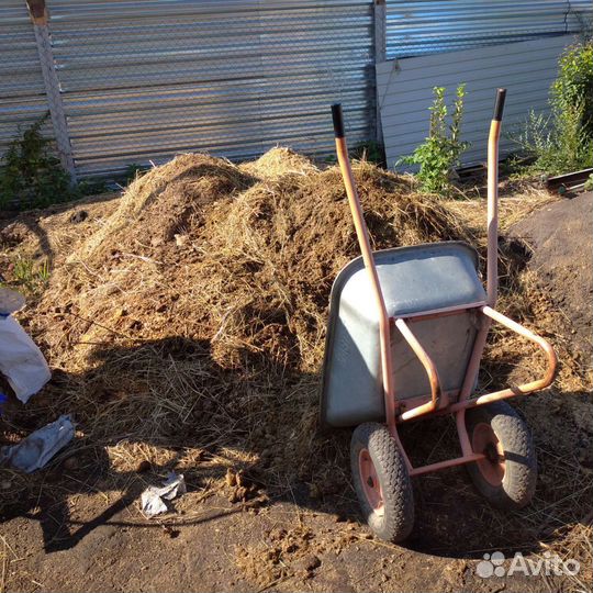 Конский навоз