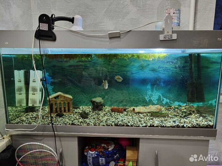 Аквариум 300л