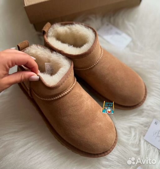 Угги женские Ugg Classic Mini