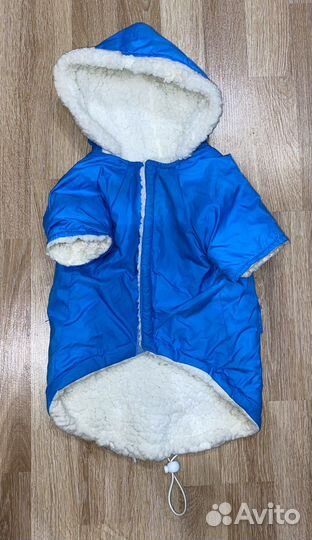 Одежда для собак