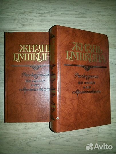 Жизнь Пушкина