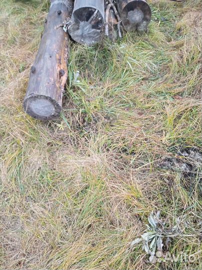 Сосновые бревна