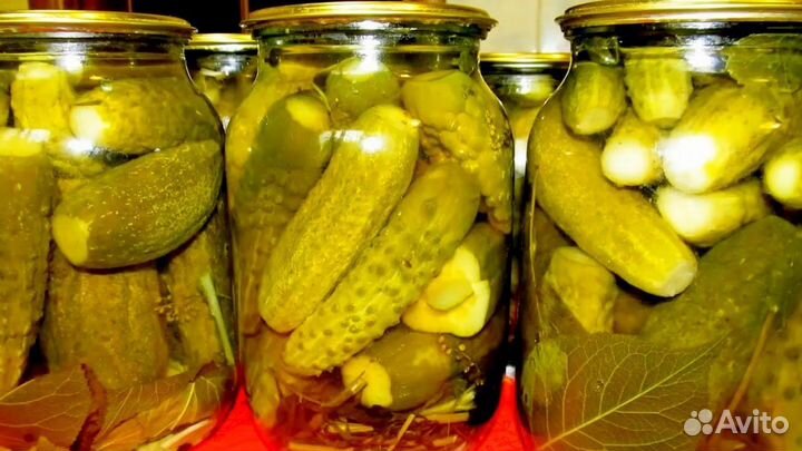 Домашние заготовки маринованные огурцы