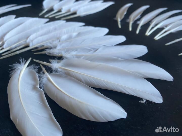 Перья белые