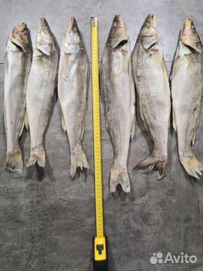 Вяленая сушеная рыба