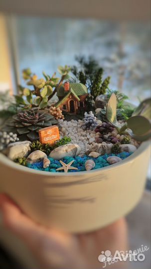 Композиция из живых растений в кашпо