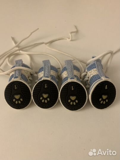 Обувь для собак мелких пород (кеды )