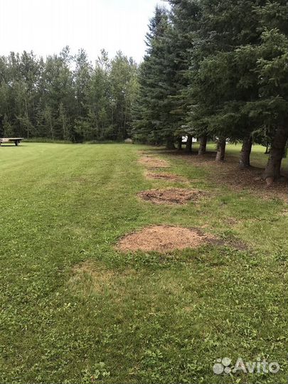 Удаление пней спил деревьев