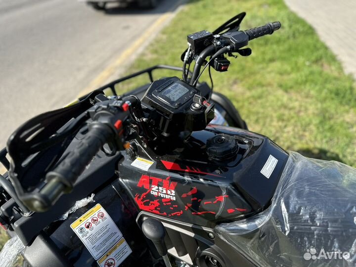 Квадроцикл 250 кубов rato premium