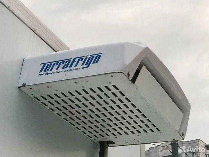 Газель рефрижератор terrafrigo s10p реф