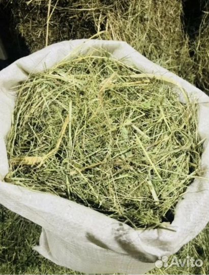 Сено свежий сбор в мешках