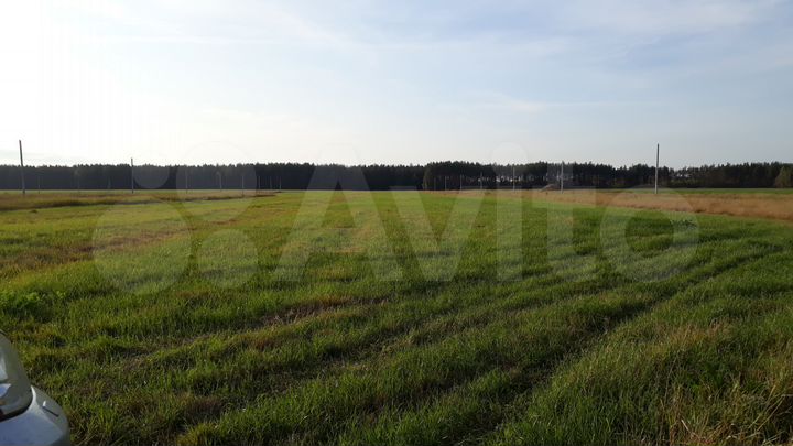 Участок 12 сот. (СНТ, ДНП)