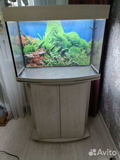 Аквариум 100 литров