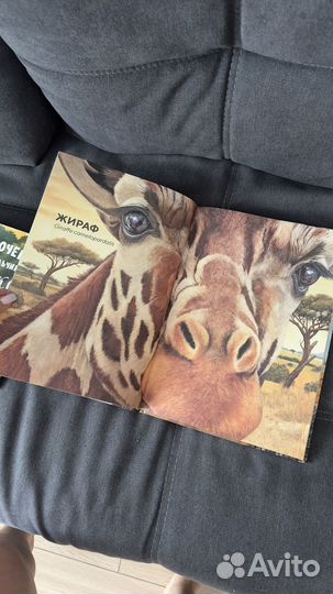 Детские книги clever