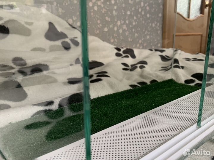 Террариум для рептилий