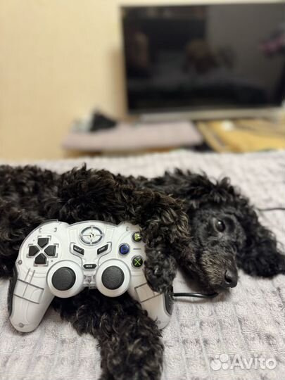 Геймпад dexp в хорошем состояние