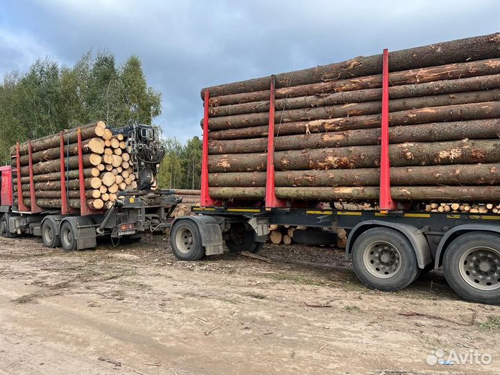 Лес кругляк пиловочник от 14, от 18