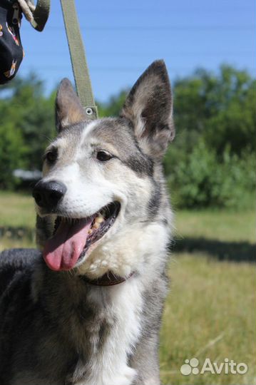 Люди проходят мимо